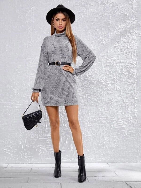 Women's Waist-Defining Slim-Waist Polka-Dot Long Sleeve Waist-Cinching Dress Party Evening Outfit Day for Office Wedding Guest Date Night Business Casual
