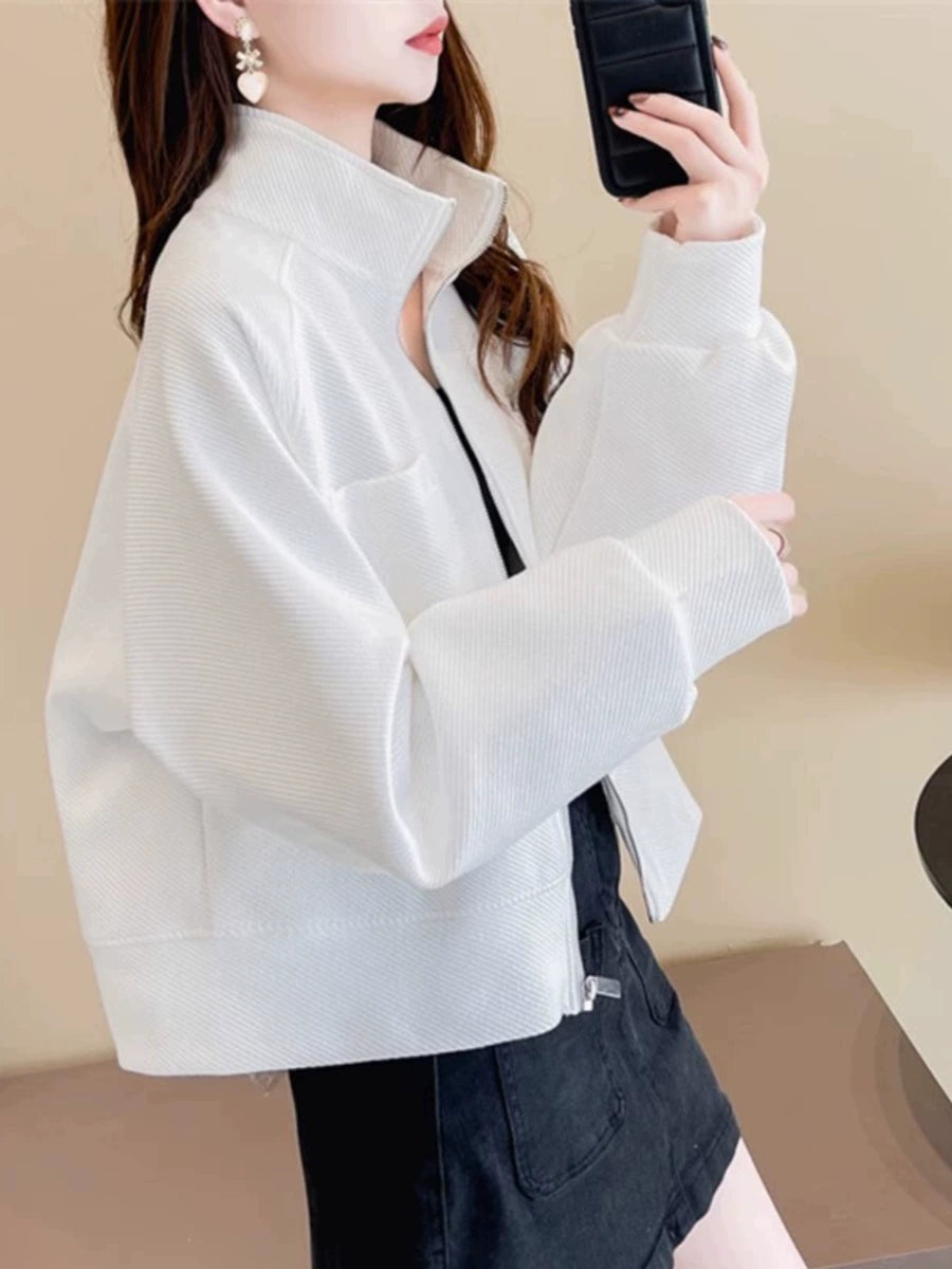 Women's Grey Mandarin Collar Oversized Cropped Trench Coat for Fall Layering Travel Office Holiday